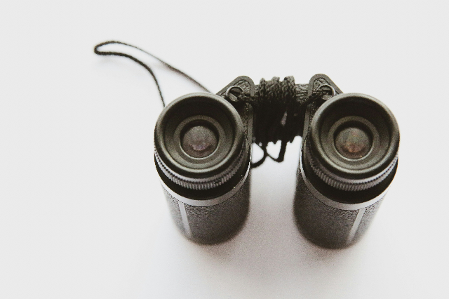 Platform Visibility for Investment Trusts